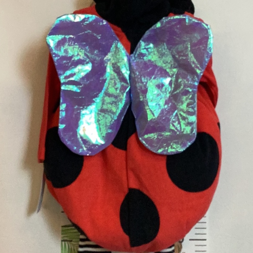 Baby Ladybug Costume by Carters